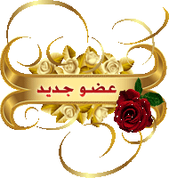 https://www.salehup.com/do.php?img=2842