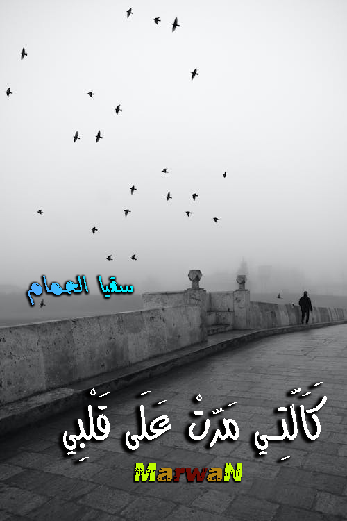 كَاَلَّتِي مَرَّتْ عَلَى قَلْبِي