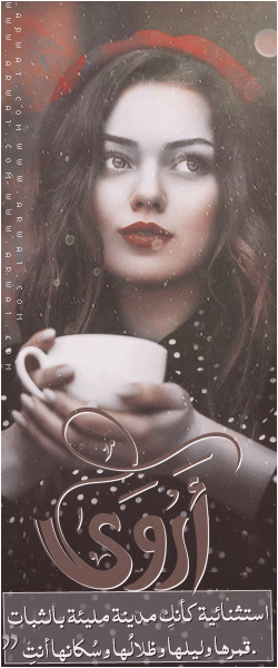 ������ ������� ����